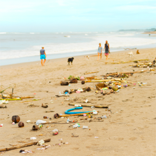 People walking along a beach